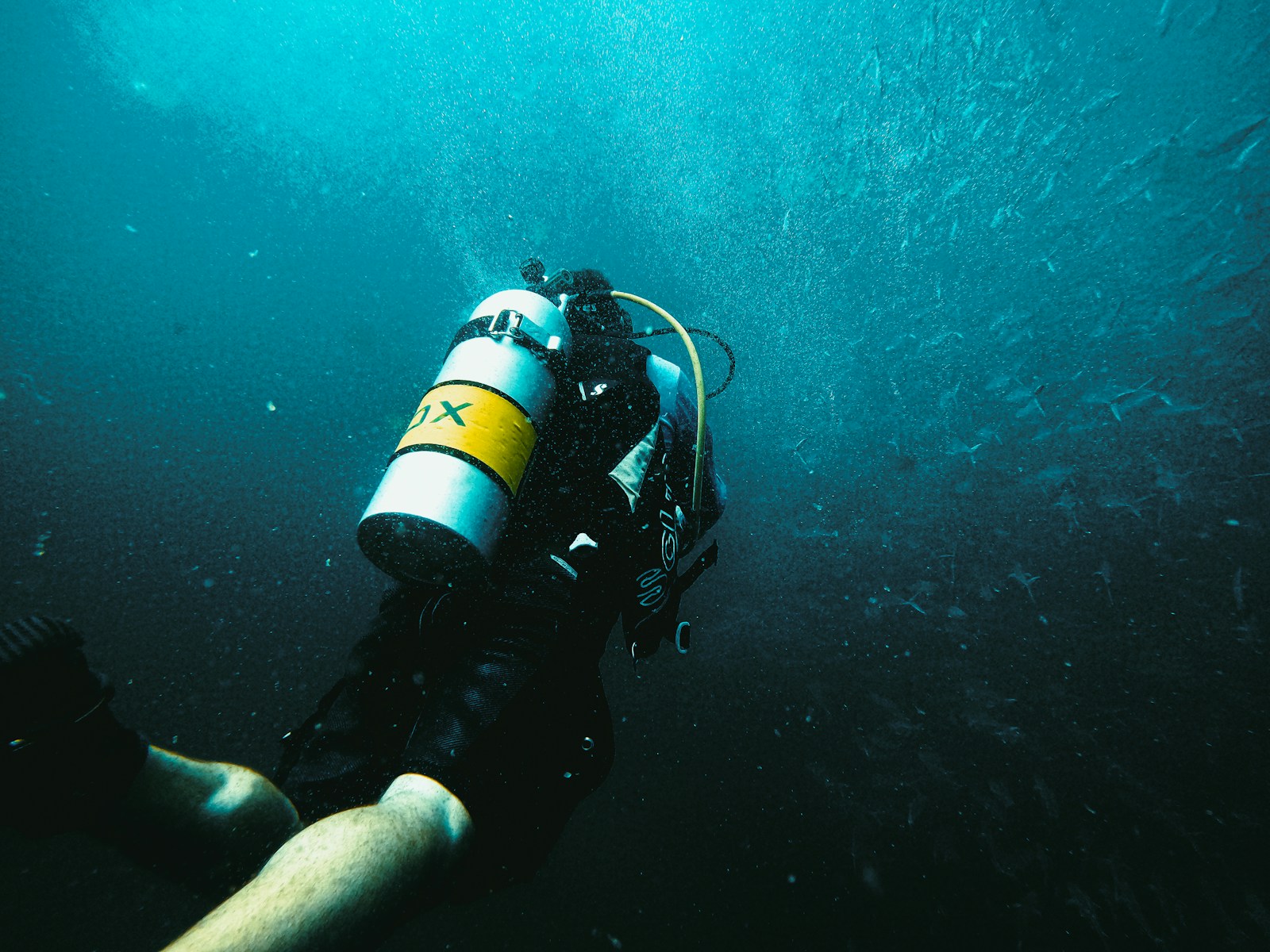 Dakhla Diving Club