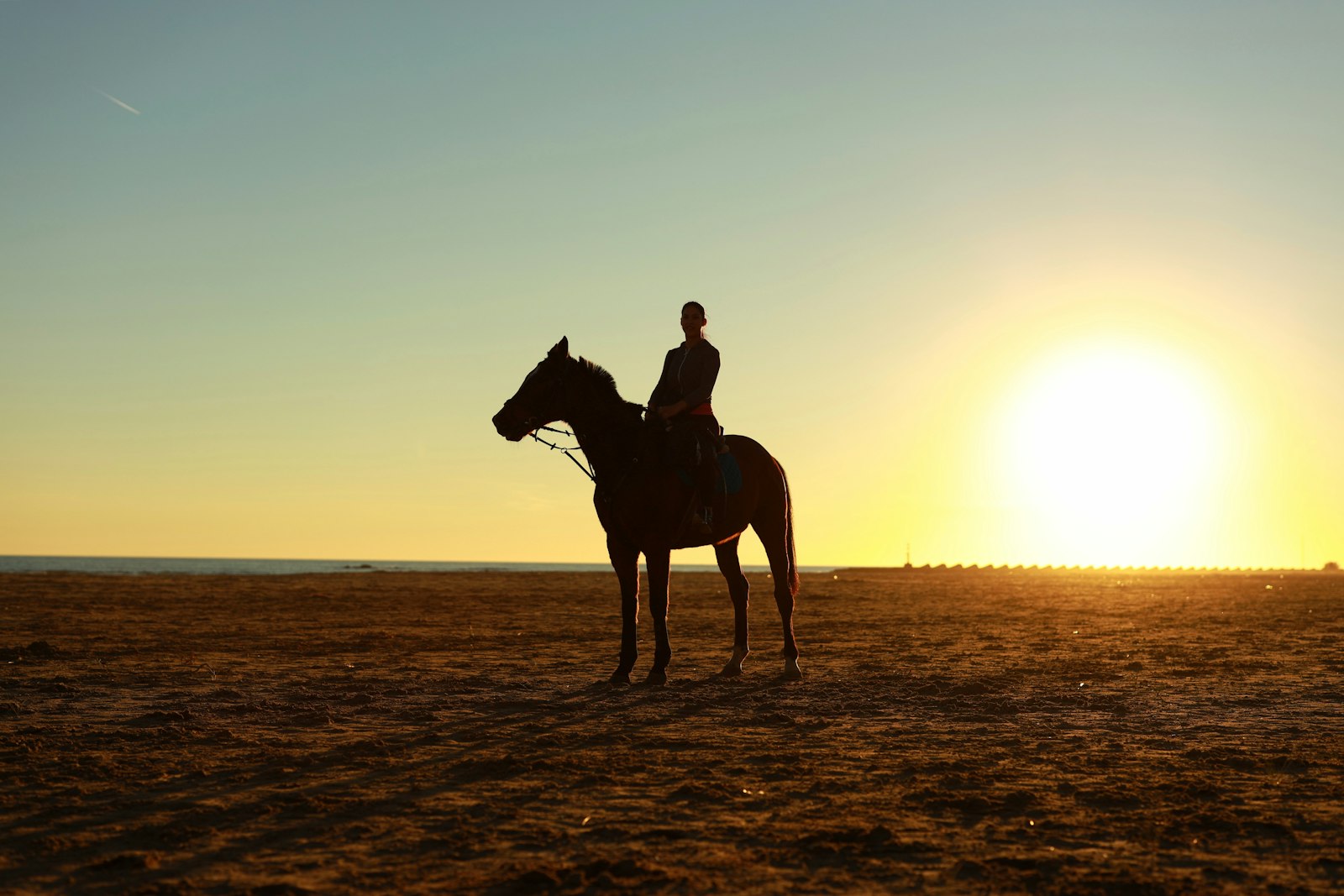 Sunset horse ride
