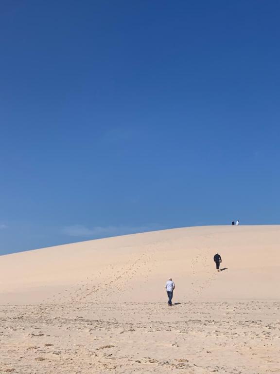 Sahara desert near Dakhla
